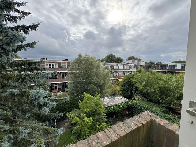 Cornelis van der Lijnstraat 80, Den Haag
