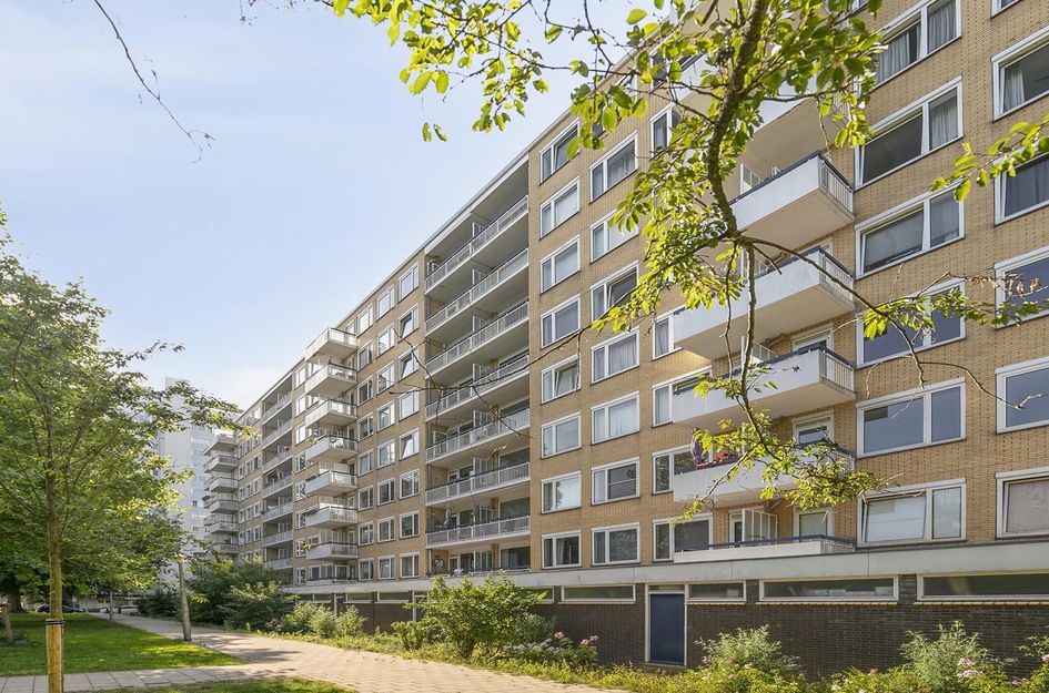 Van Nijenrodeweg 167