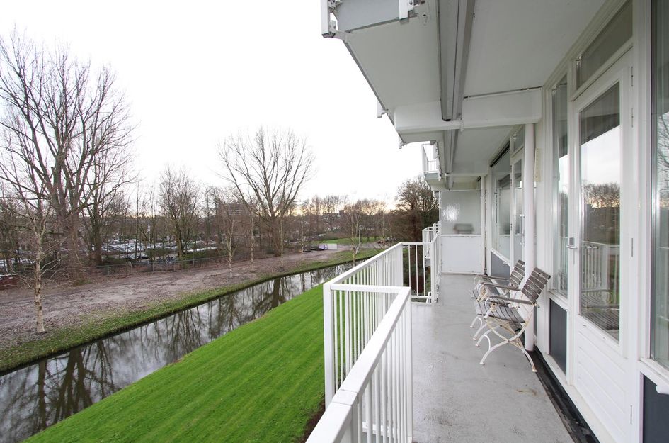 Biesbosch 51