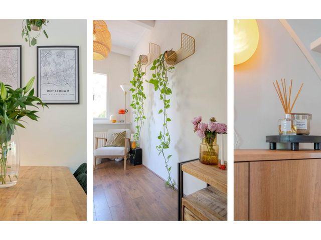3e Carnissestraat 41, Rotterdam