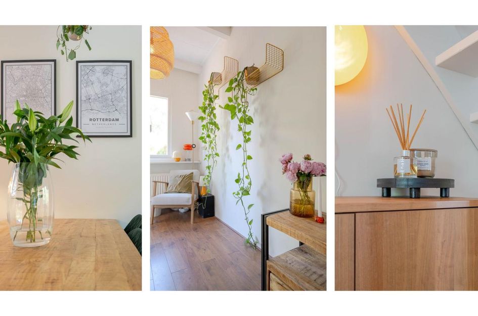 3e Carnissestraat 41