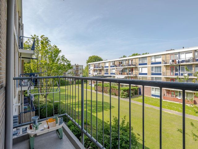 Middelrode 67, Rotterdam