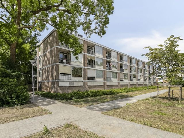 Platostraat 218, Rotterdam