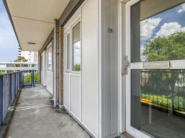 Platostraat 218, Rotterdam