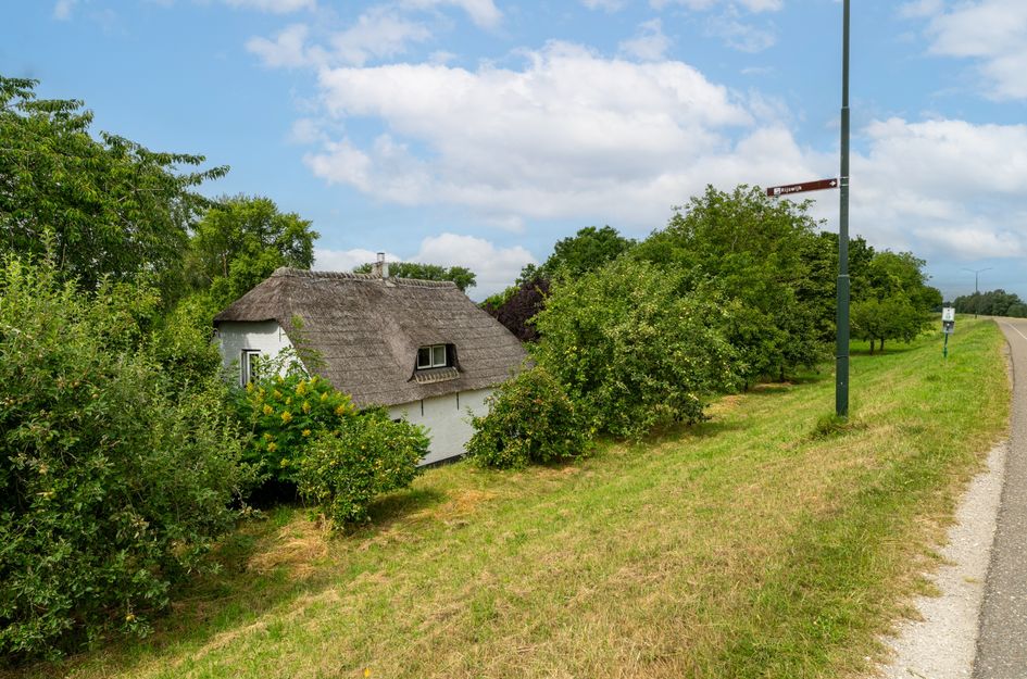 Maasdijk 50