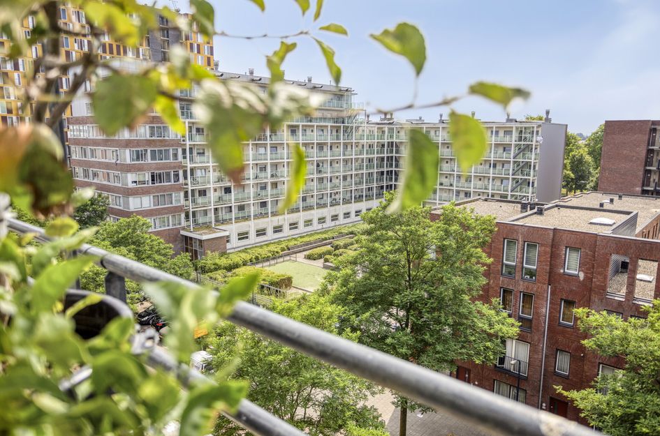 Johan Hofmanstraat 252