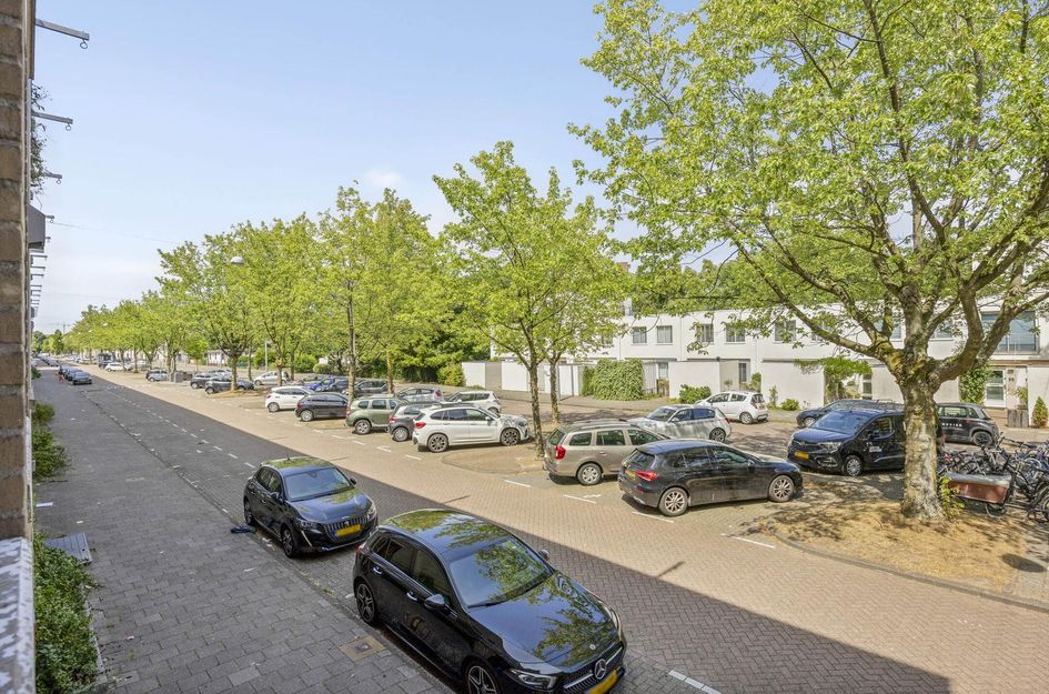 Brentanostraat 154