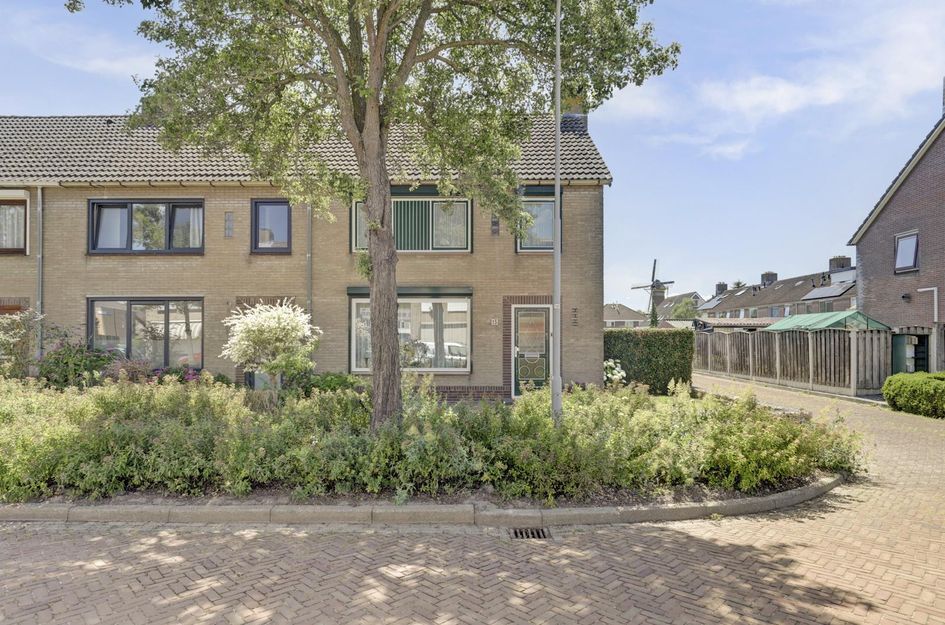 Vliedbergstraat 15