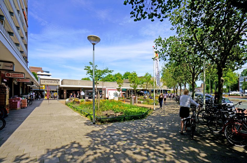 Escamplaan 538