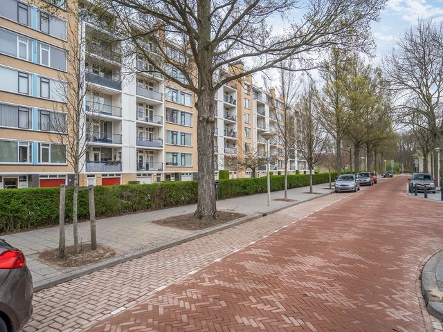 Landréstraat 155, 's-Gravenhage