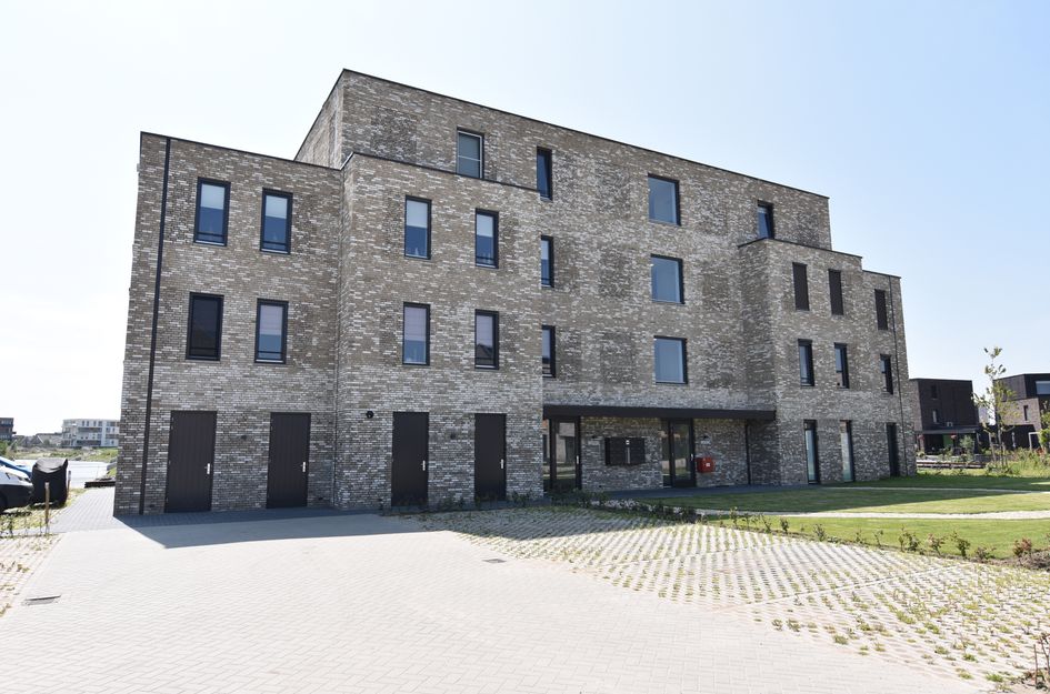 Muiltje 29