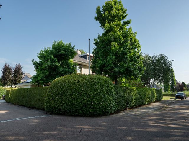 Voorhout 5, Rotterdam