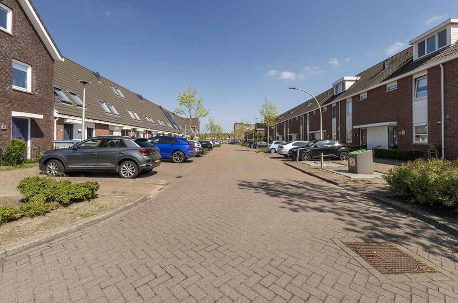 Steur 1