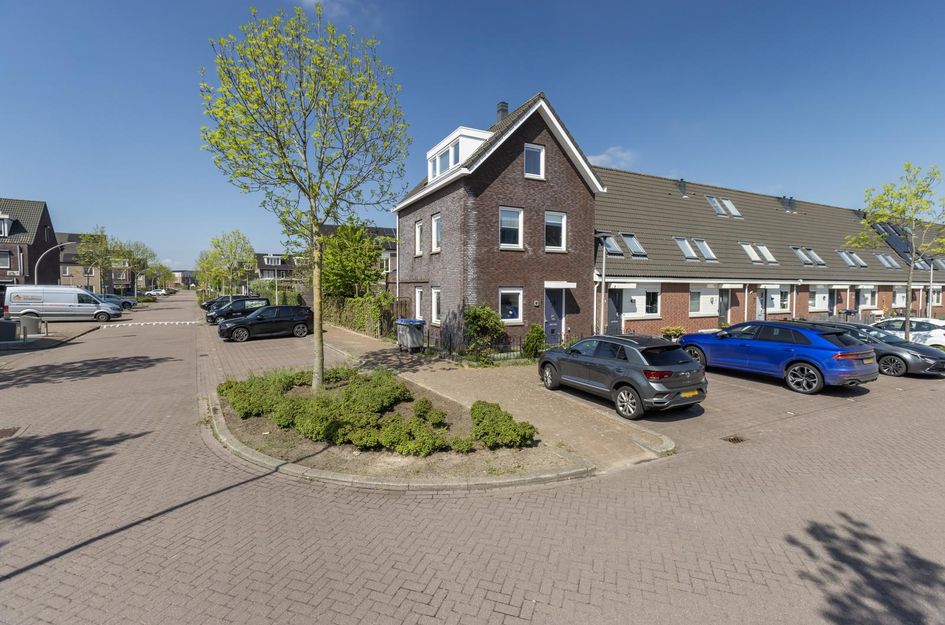 Steur 1