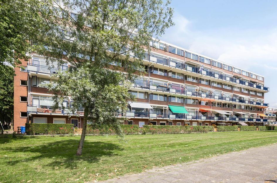 Obrechtstraat 319