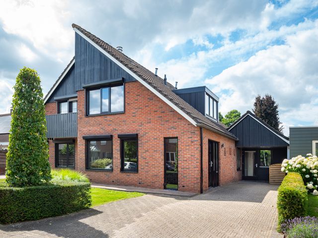 Erve Borgerinck 9, Enter