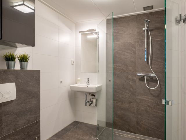 Erve Borgerinck 9, Enter