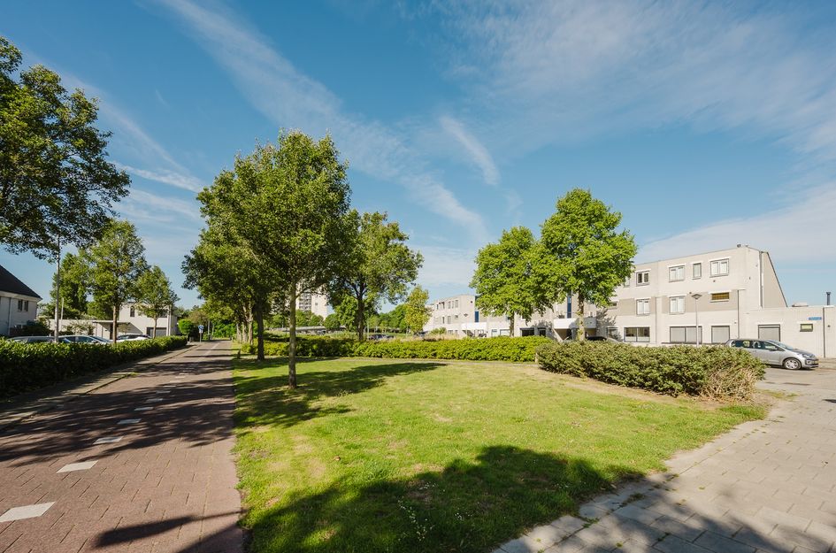 Hudsonpad 26