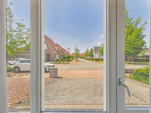 Tapijtschelp 60, Terneuzen