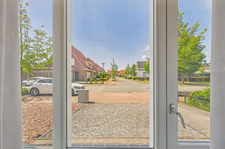 Tapijtschelp 60