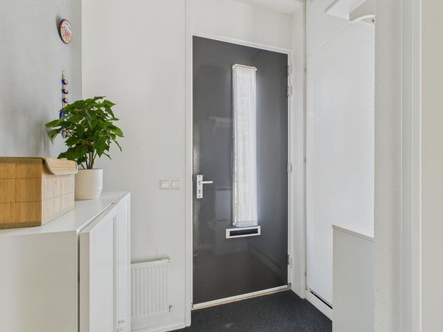 Tapijtschelp 60, Terneuzen