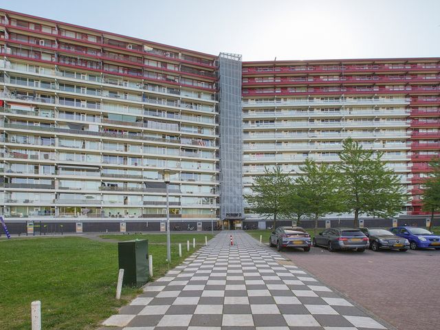 Perim 114, Zaandam