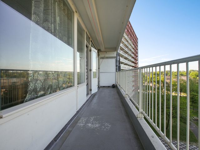 Perim 114, Zaandam
