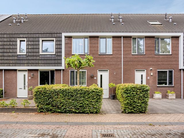 Populier 17, Leek