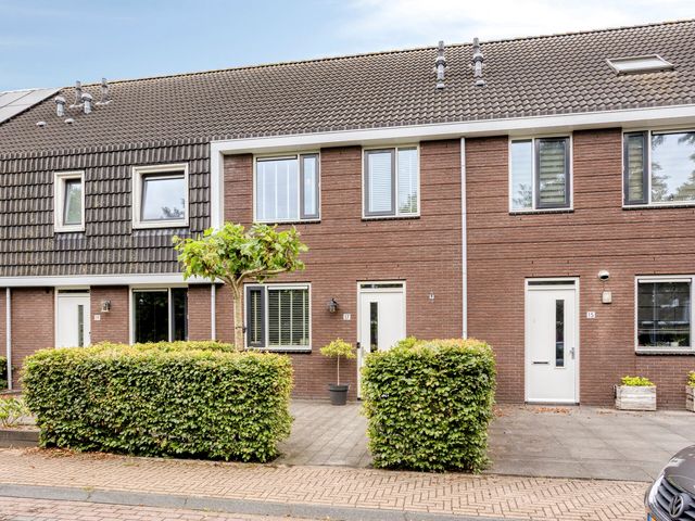 Populier 17, Leek