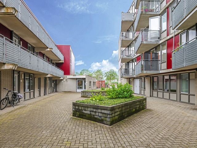 Dr. Willem Dreessingel 215, Arnhem