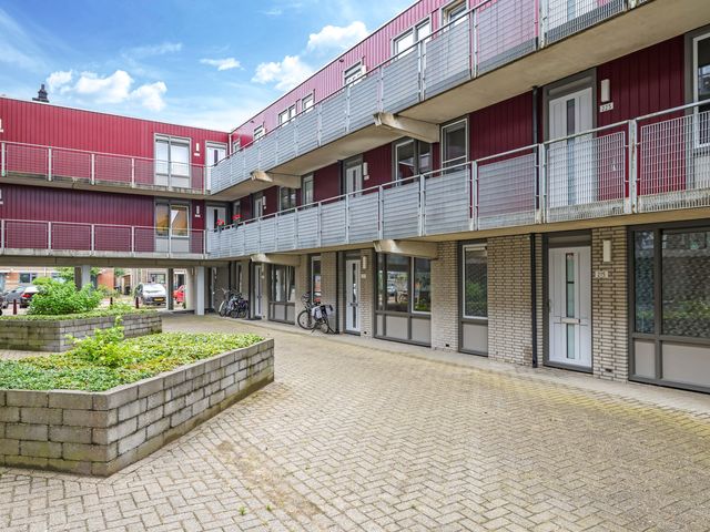 Dr. Willem Dreessingel 215, Arnhem