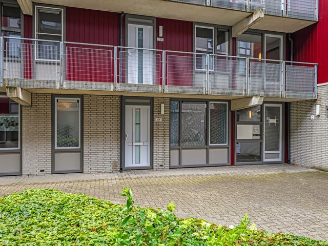 Dr. Willem Dreessingel 215, Arnhem