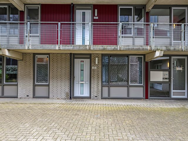 Dr. Willem Dreessingel 215, Arnhem