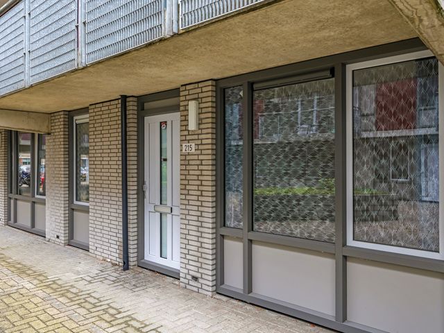 Dr. Willem Dreessingel 215, Arnhem