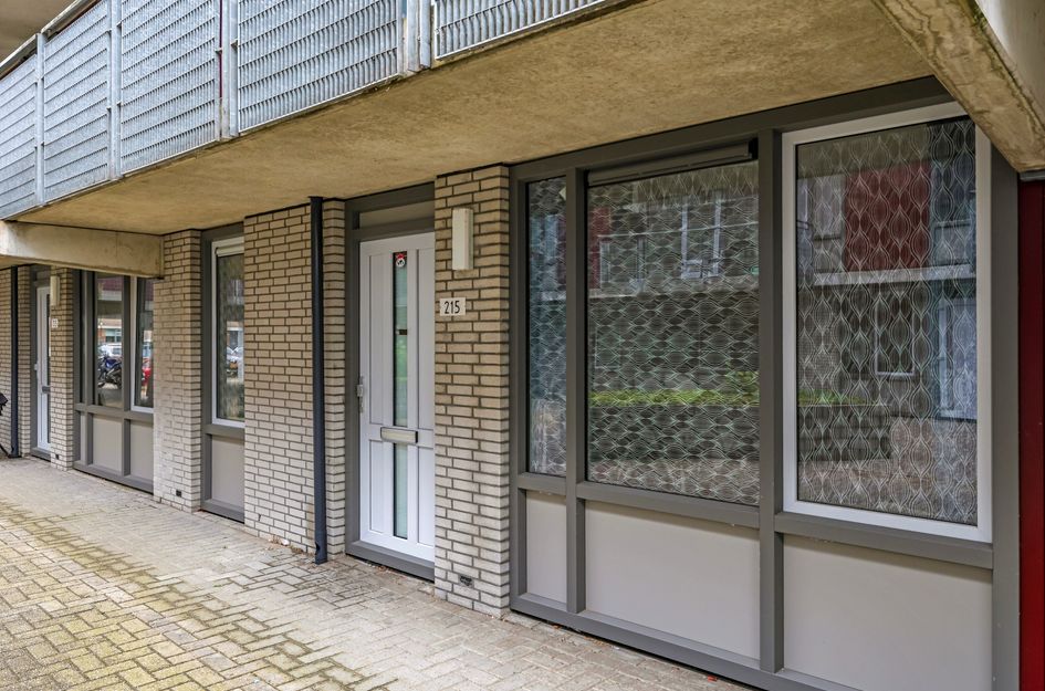 Dr. Willem Dreessingel 215