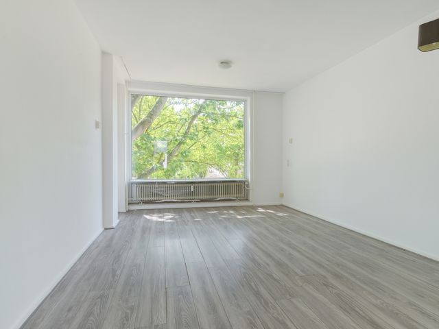 Tobias Asserlaan 316, Tilburg