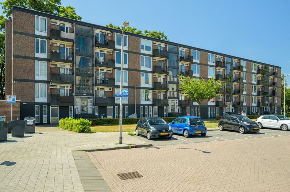 Tobias Asserlaan 316