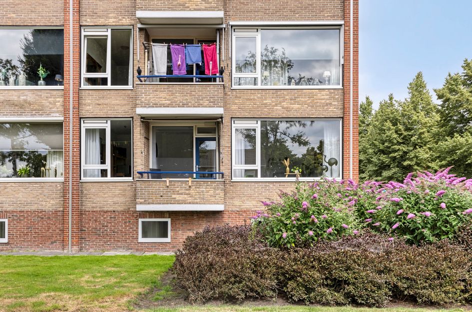 Biesboschlaan 20