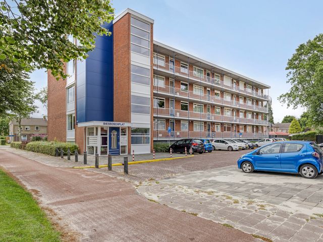 Biesboschlaan 20, Stadskanaal
