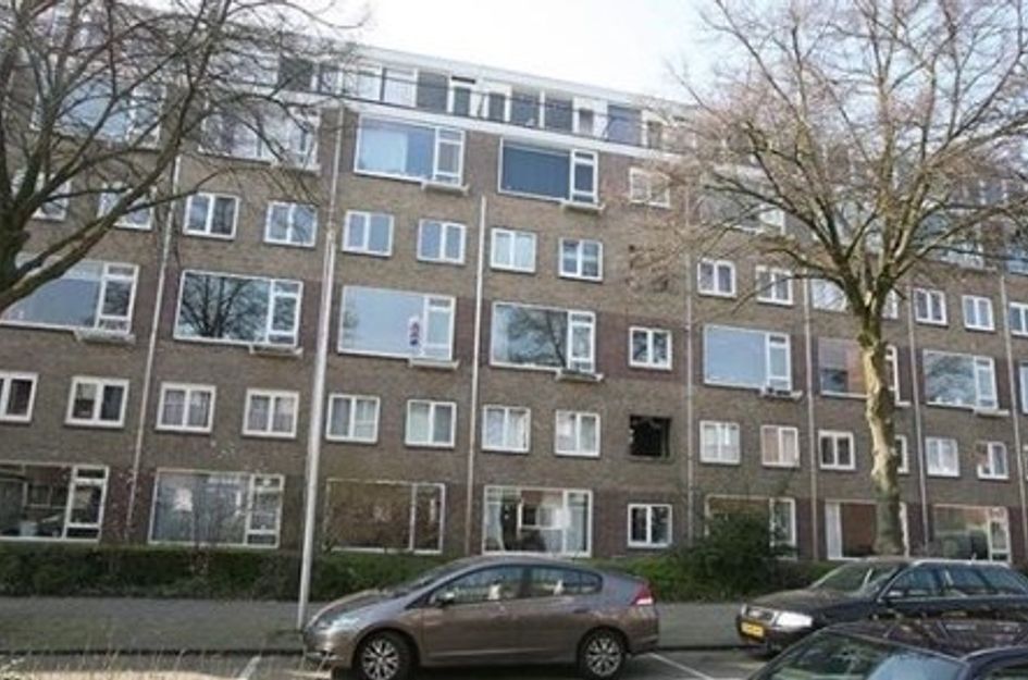 Barnsteenlaan 