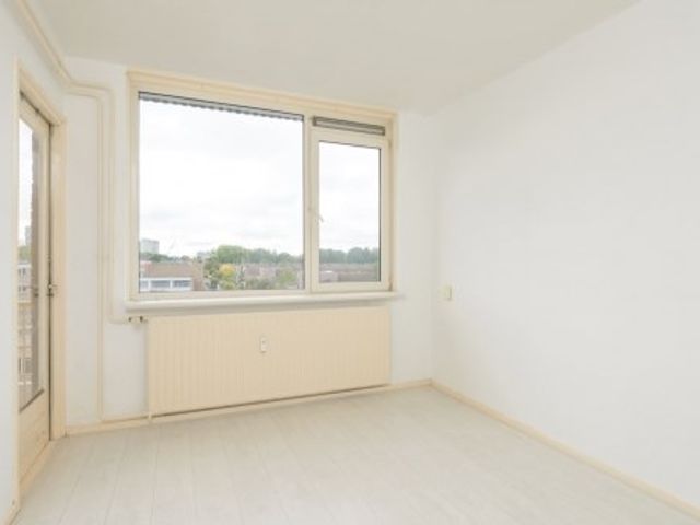 Moezeldreef , Utrecht