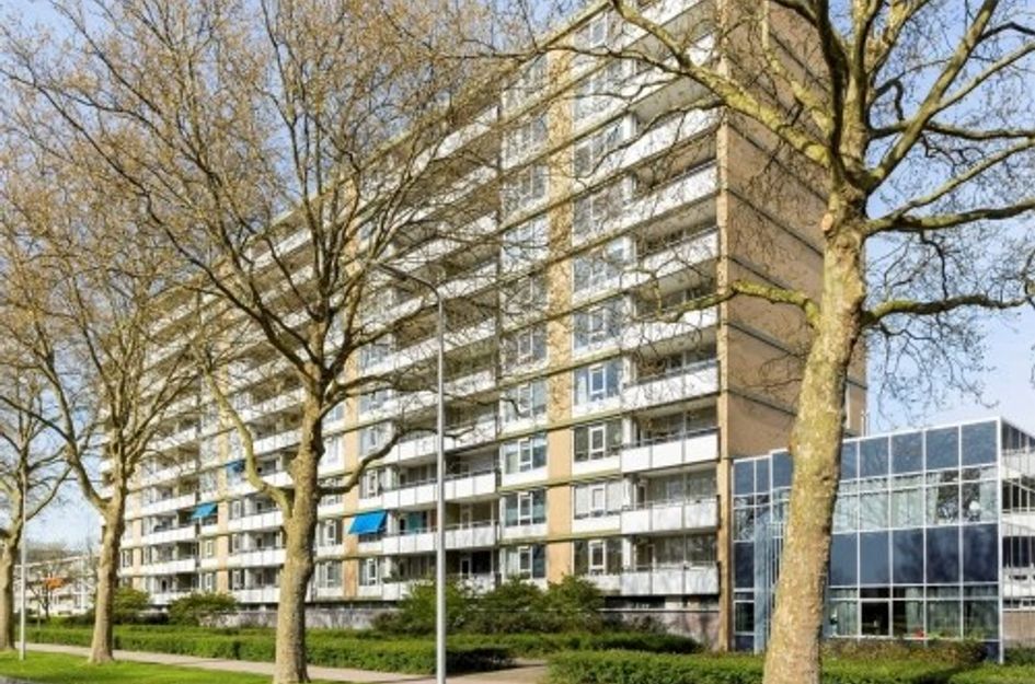Van Vollenhovenlaan 
