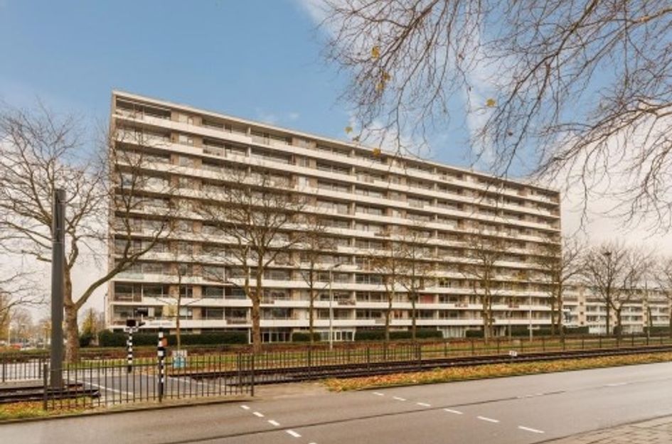 Livingstonelaan 