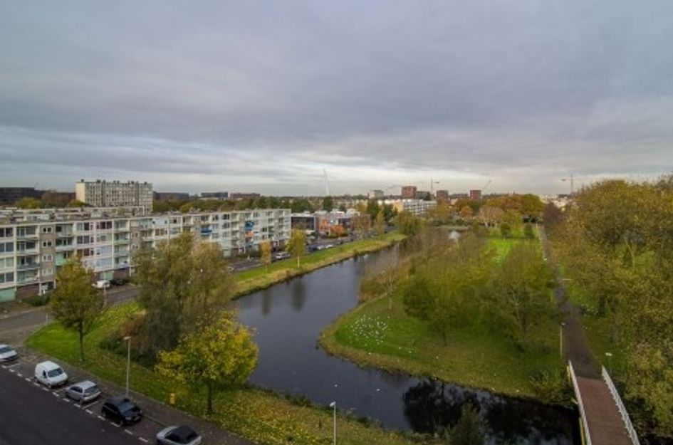 Marco Pololaan 