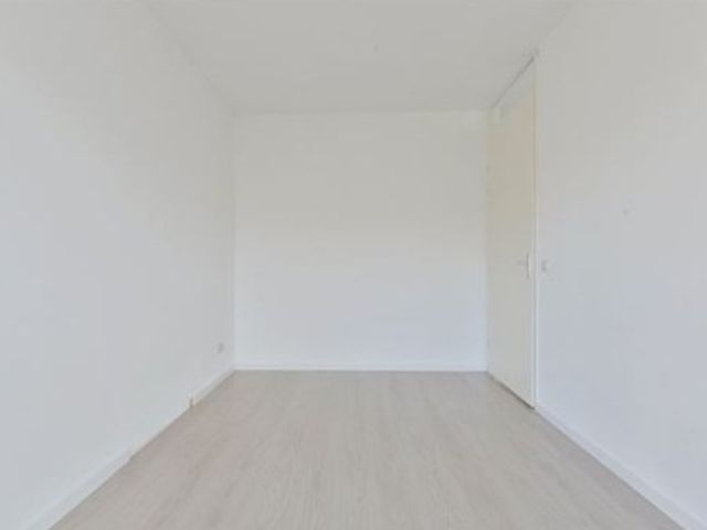 Koning Davidstraat , Zaandam