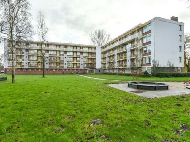 Leverkruidweg , Zaandam