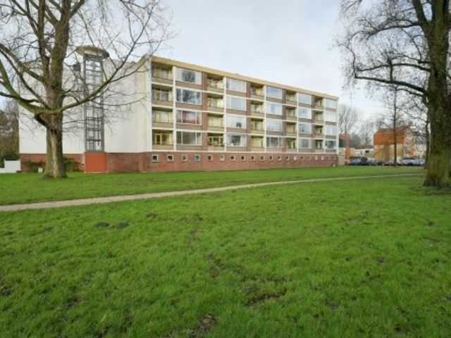 Leverkruidweg , Zaandam