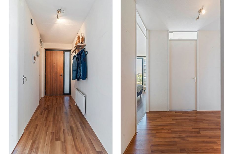 Saturnusstraat 531