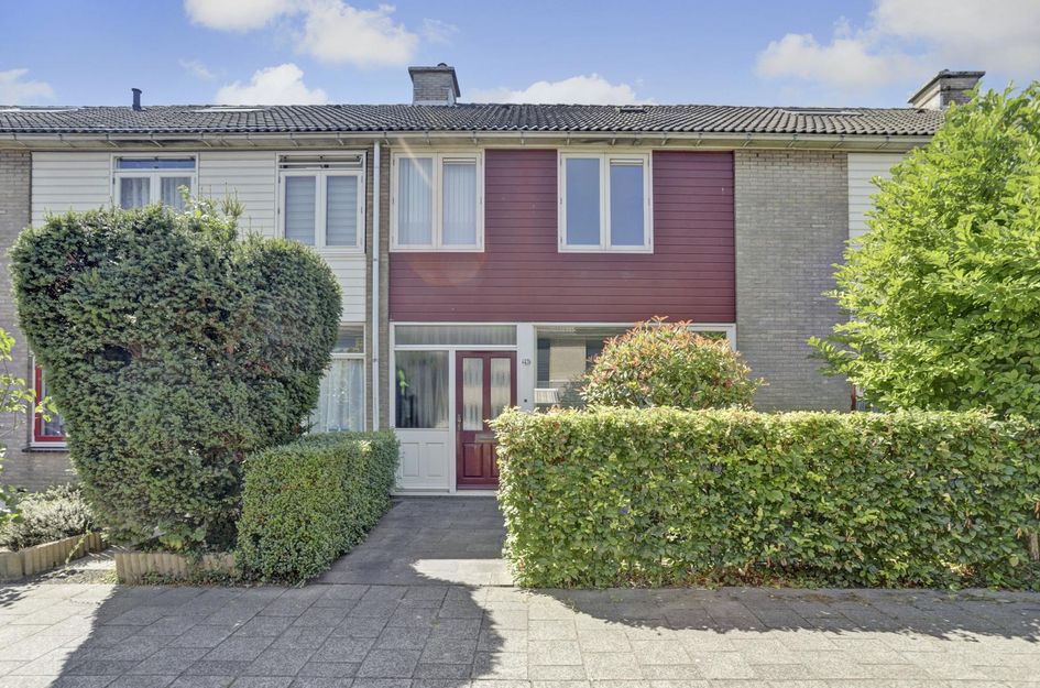 Dolphijnstraat 43