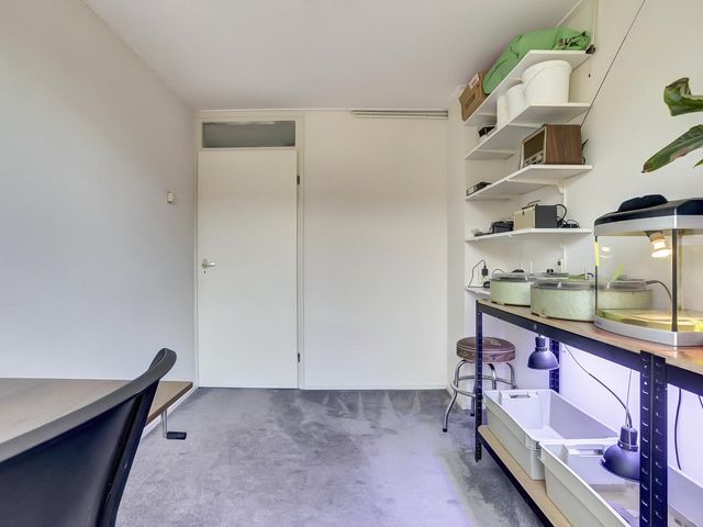 Dolphijnstraat 43, Hoek Van Holland